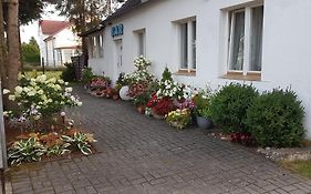 Pomerania Pokoje U Oliwii